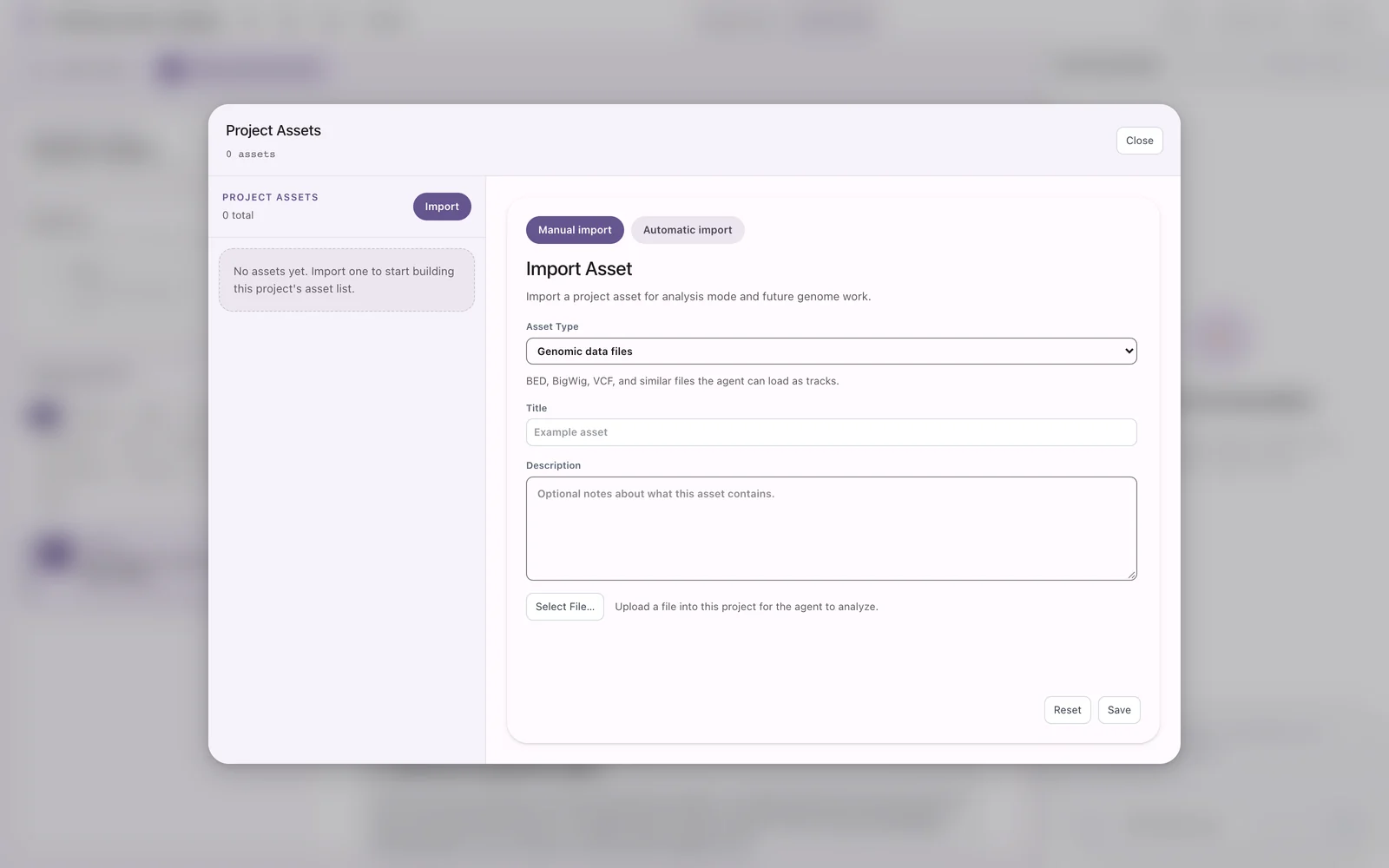 Project Assets dialog with an empty asset list on the left and the Import Asset form on the right